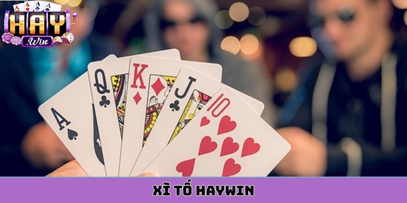 Chơi xì tố Haywin 