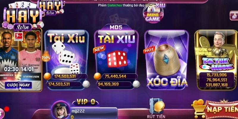  Tài xỉu Haywin cá cược đặc biệt.
